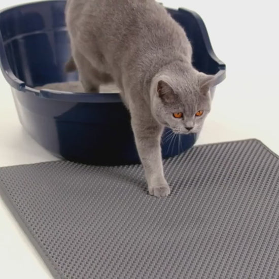 Video: a cat steps off the litter box onto the mat, grains sit in the honeycomb, and the litter is poured back into the box