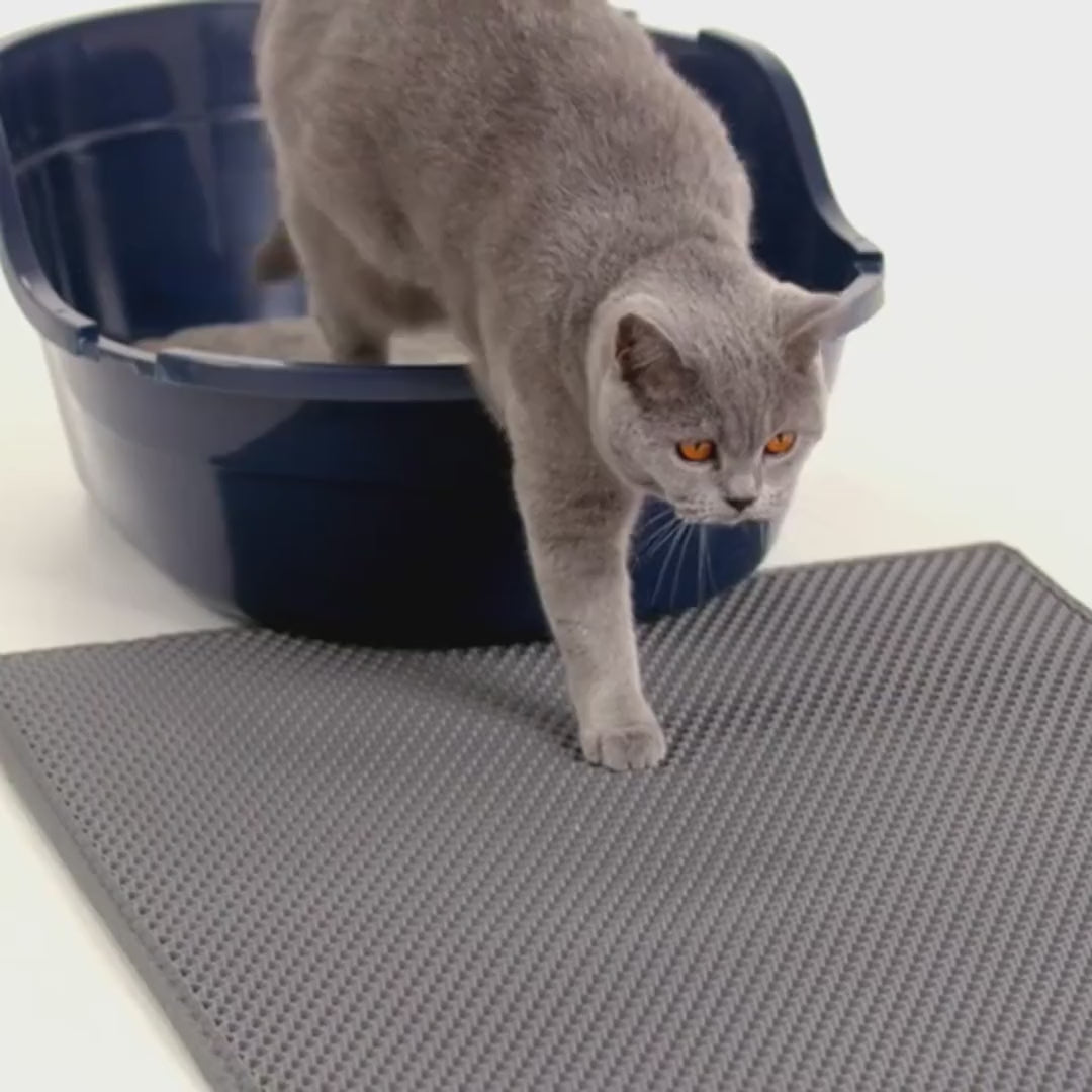 Video: a cat steps off the litter box onto the mat, grains sit in the honeycomb, and the litter is poured back into the box
